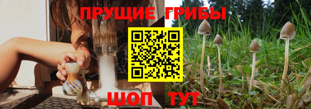 Псилоцибиновые грибы GOLDEN TEACHER  Вход с VPN  Уссурийск 